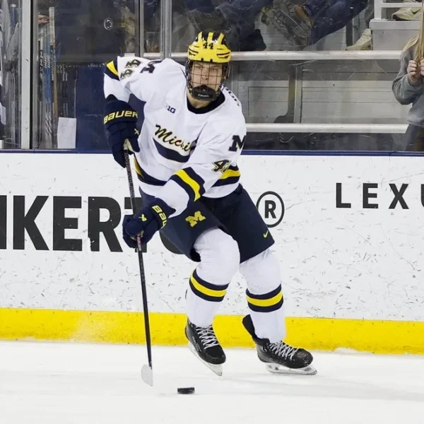 Shane Vansaghi prospective Michigan hockey players anticipated to be selected in the 2025 NHL Draft
