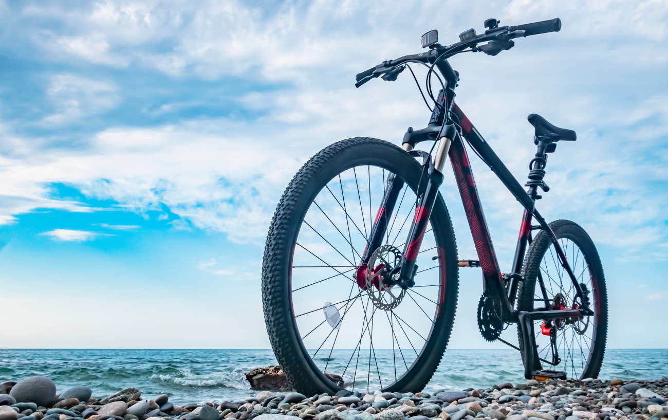 The Ultimate Guide to Mountain Bike Categories