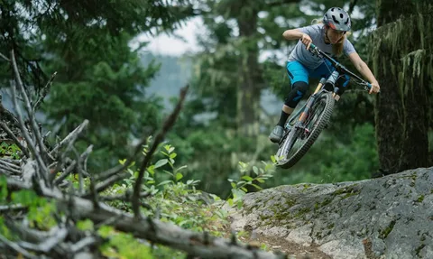 kinds of mountain bike