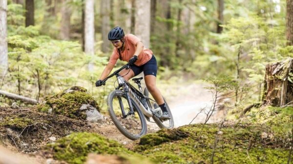 mountain bike styles