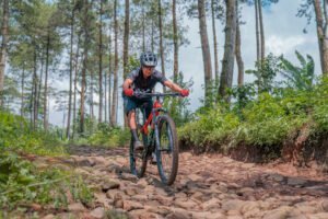 types of mountain bikes