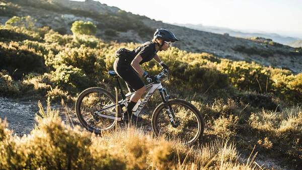 types of mountain bikes